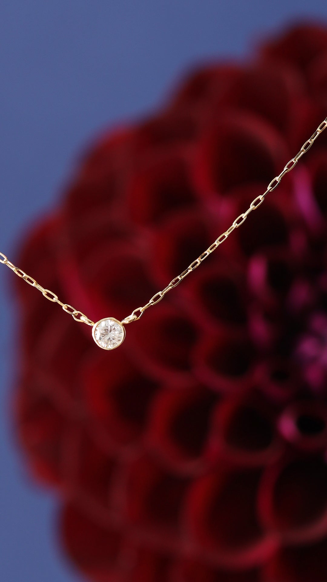 5周年記念POPUP開催のお知らせ!