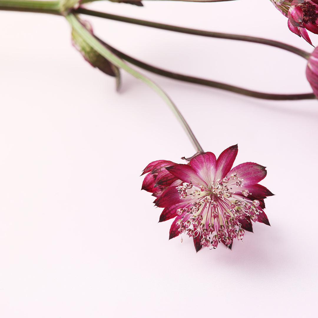 【重要】年末年始休業のお知らせ