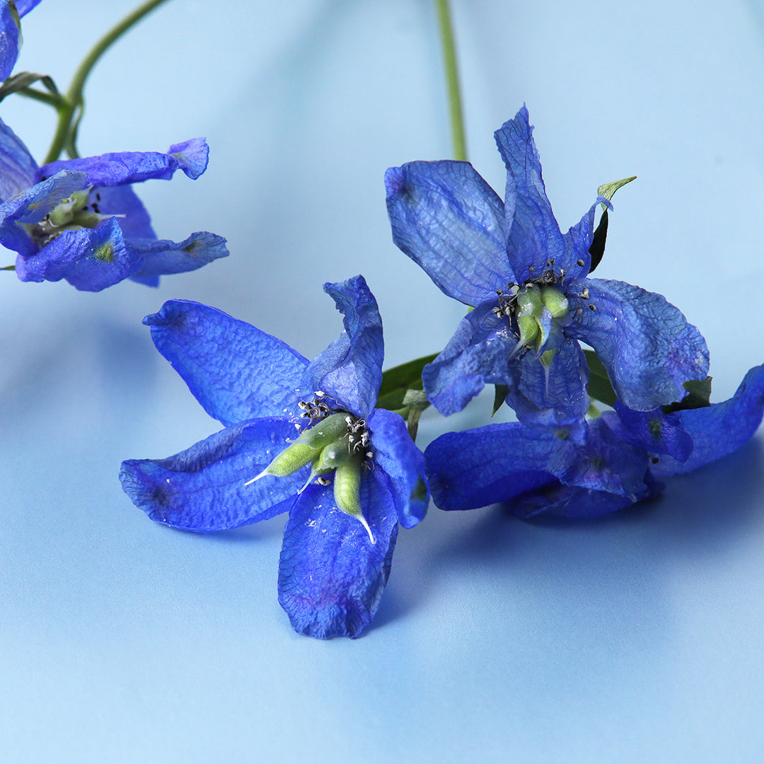 在庫が無くなり次第販売終了の商品のお知らせ