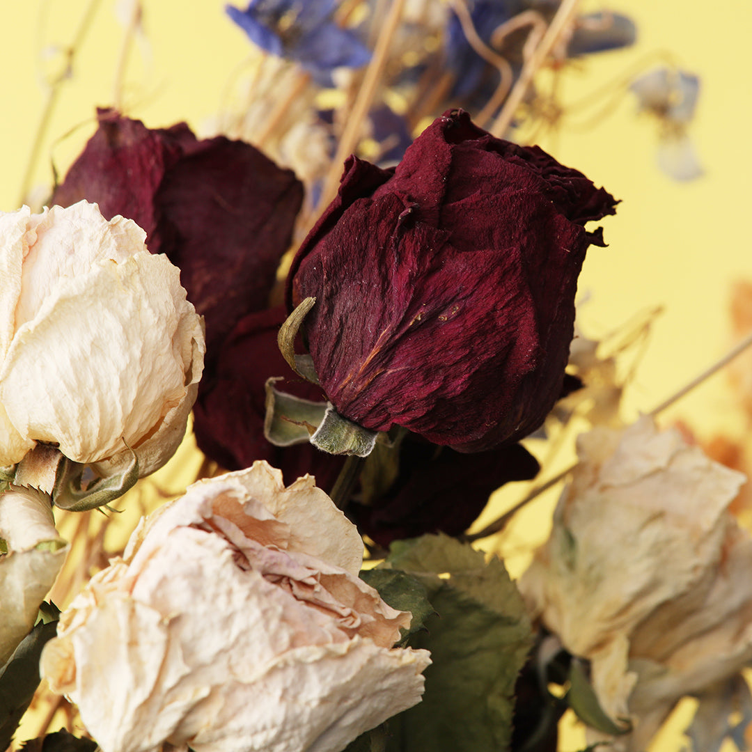 こうふはっこうマルシェに出展いたします