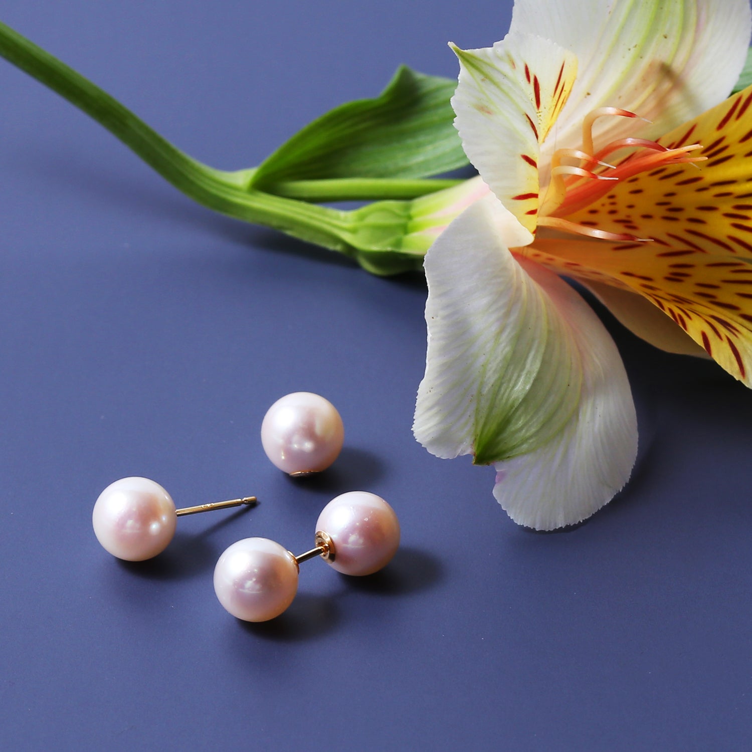 K18アコヤパールピアス ×アコヤパールキャッチ