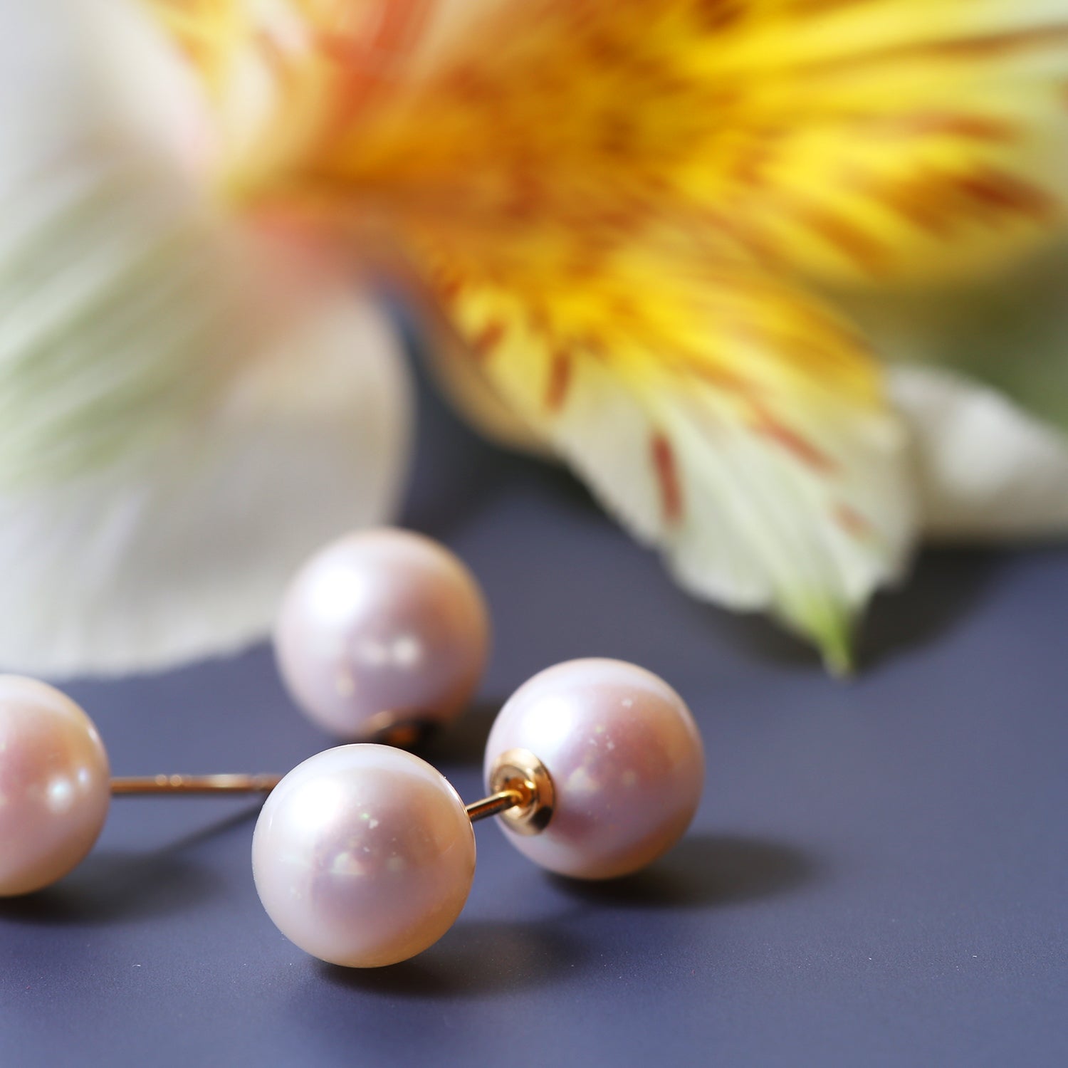 K18アコヤパールピアス ×アコヤパールキャッチ