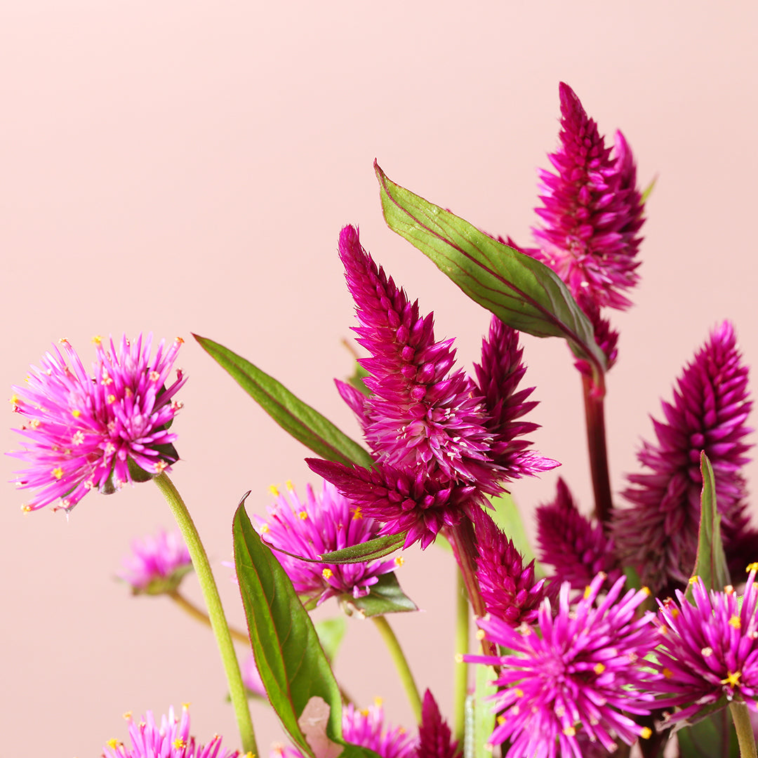 銀行振込み一時停止のお知らせ